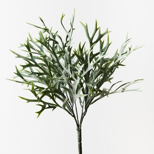 Fern Staghorn Bush 36cm / Green Grey