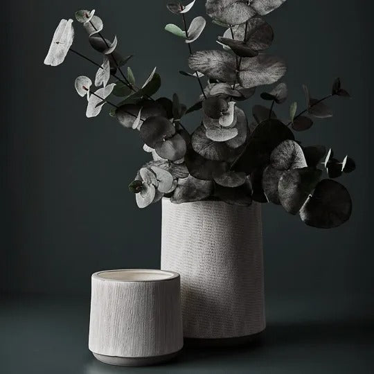 Eucalyptus Silver Dollar Bush / Dark Green 55cm