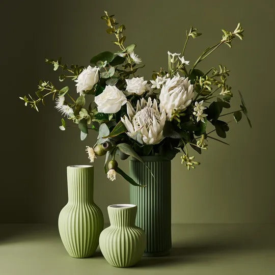 Stephanotis Spray 60cm / White