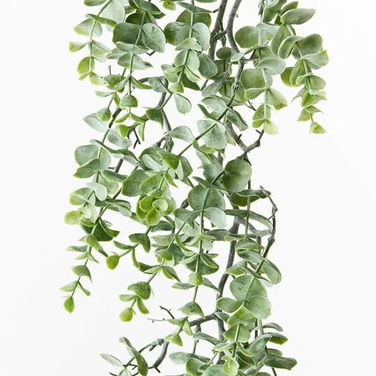 Eucalyptus Garland / Grey Green 183cm