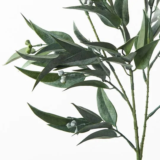 Eucalyptus Seed Pod Spray / Grey Green 74cm