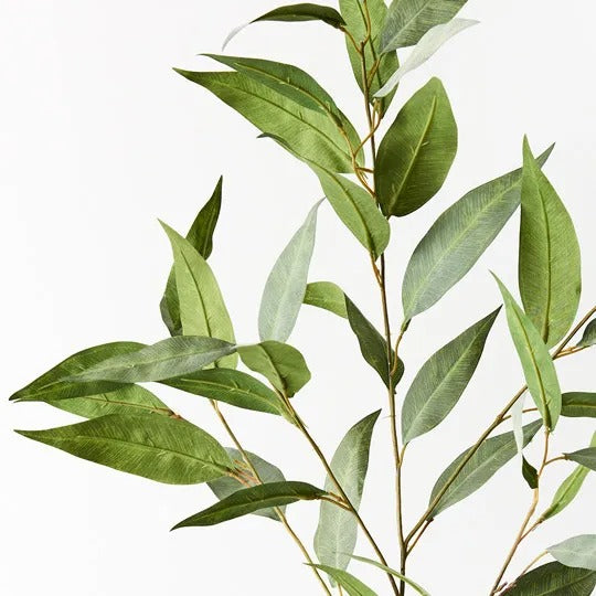 Eucalyptus Spray Grey Green / 91cm