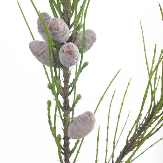 Needle Pine Cone Spray Natural 69cm