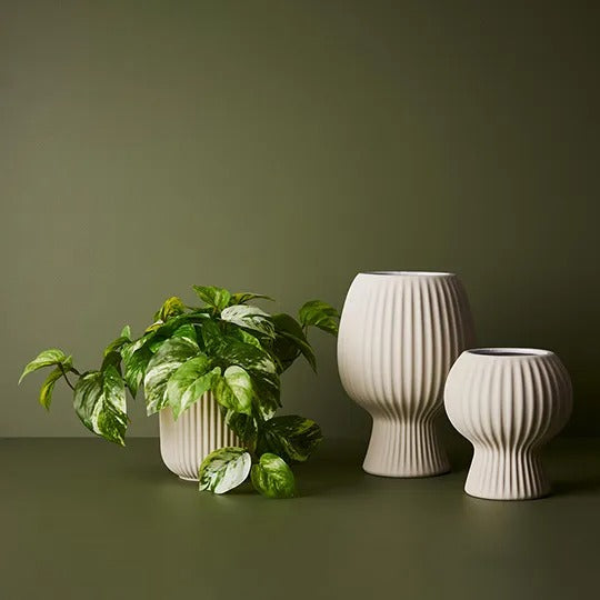 Palina Pot Ivory