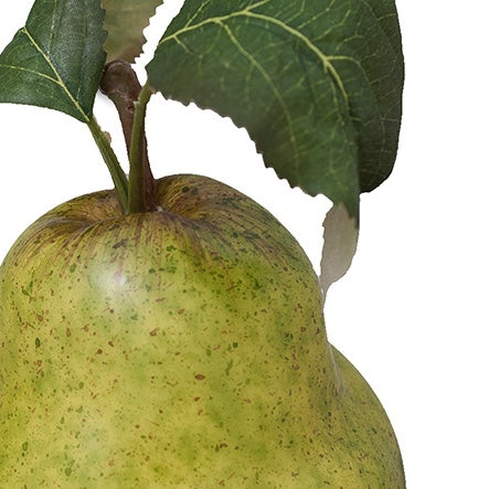 Fruit Pear with Leaf
