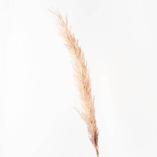 Plume Grass Seed Spray