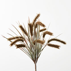 Pampas Grass Bush Moss 47cm