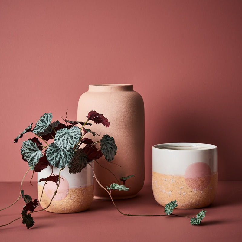 Saxifraga Hanging Pot / Dark Green 55cm