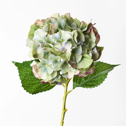 Hydrangea 52cm / Green Burgundy