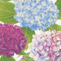 Lunch Napkins / Hydrangea Garden